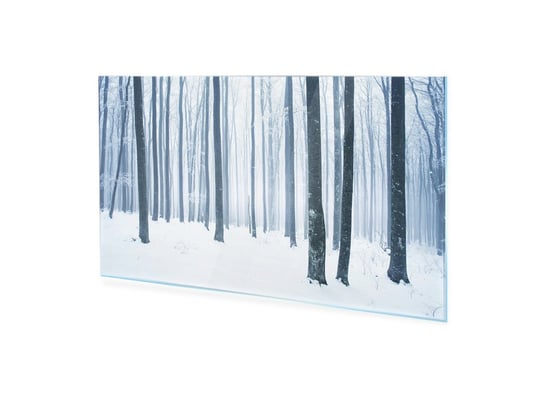 Obraz na szkle HOMEPRINT Zimowa śnieżna scena leśna 100x50 cm HOMEPRINT