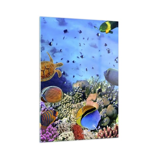 Obraz na szkle - I co my wiemy o życiu... - 50x70cm - Rafa Koralowa Podwodny Świat Ryby - Nowoczesny szklany obraz do salonu do sypialni ARTTOR ARTTOR