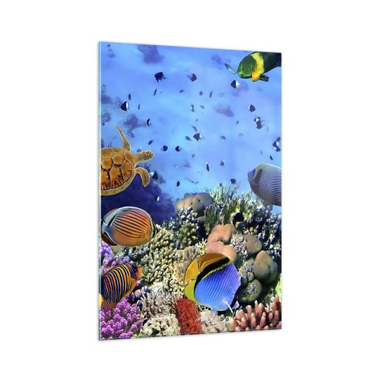 Obraz na szkle - I co my wiemy o życiu... - 70x100cm - Rafa Koralowa Podwodny Świat Ryby - Nowoczesny foto szklany obraz do salonu do sypialni ARTTOR ARTTOR