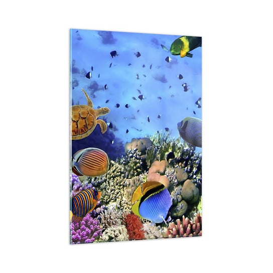 Obraz na szkle - I co my wiemy o życiu... - 80x120cm - Rafa Koralowa Podwodny Świat Ryby - Nowoczesny szklany obraz na ścianę do salonu do sypialni ARTTOR ARTTOR