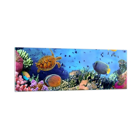 Obraz na szkle - I co my wiemy o życiu... - 90x30cm - Rafa Koralowa Podwodny Świat Ryby - Nowoczesny szklany obraz do salonu do sypialni ARTTOR ARTTOR