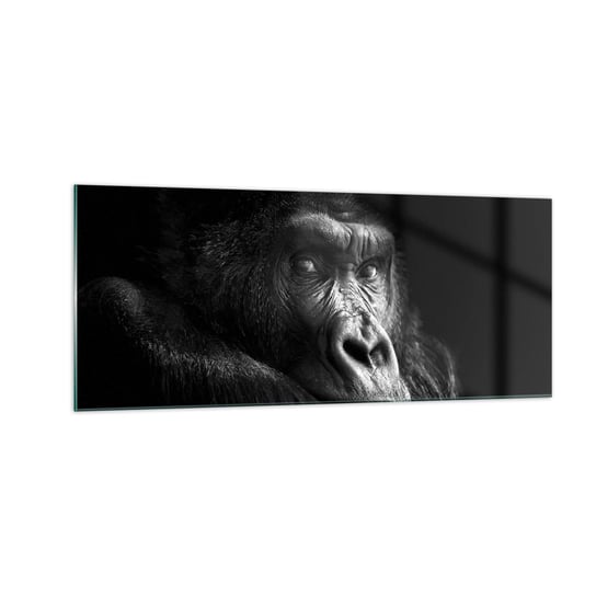Obraz na szkle - I co się patrzysz? - 100x40cm - Małpa Goryl Zwierzęta - Nowoczesny foto szklany obraz do salonu do sypialni ARTTOR ARTTOR
