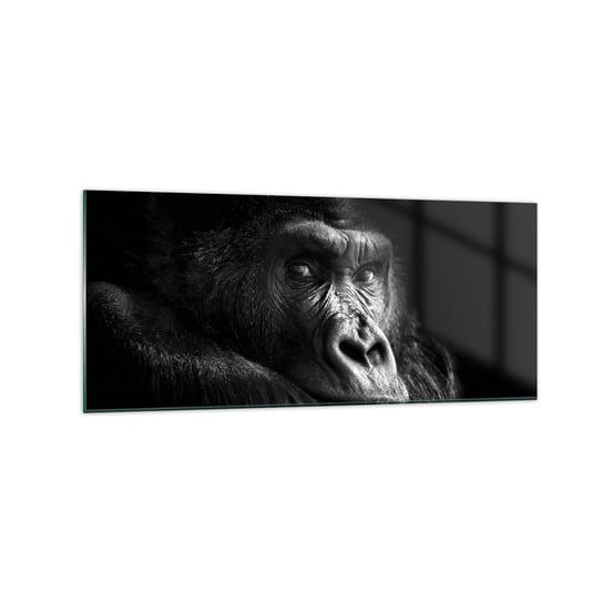 Obraz na szkle - I co się patrzysz? - 120x50cm - Małpa Goryl Zwierzęta - Nowoczesny szklany obraz na ścianę do salonu do sypialni ARTTOR ARTTOR