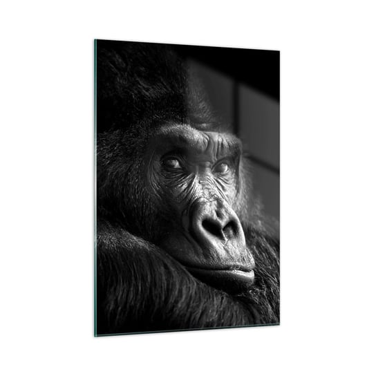 Obraz na szkle - I co się patrzysz? - 50x70cm - Małpa Goryl Zwierzęta - Nowoczesny szklany obraz do salonu do sypialni ARTTOR ARTTOR