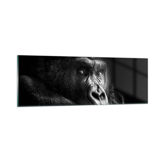 Obraz na szkle - I co się patrzysz? - 90x30cm - Małpa Goryl Zwierzęta - Nowoczesny szklany obraz do salonu do sypialni ARTTOR ARTTOR