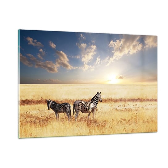 Obraz na szkle - Idź stąd, nie mąć spokoju - 120x80cm - Zwierzęta Zebra Safari - Nowoczesny szklany obraz na ścianę do salonu do sypialni ARTTOR ARTTOR