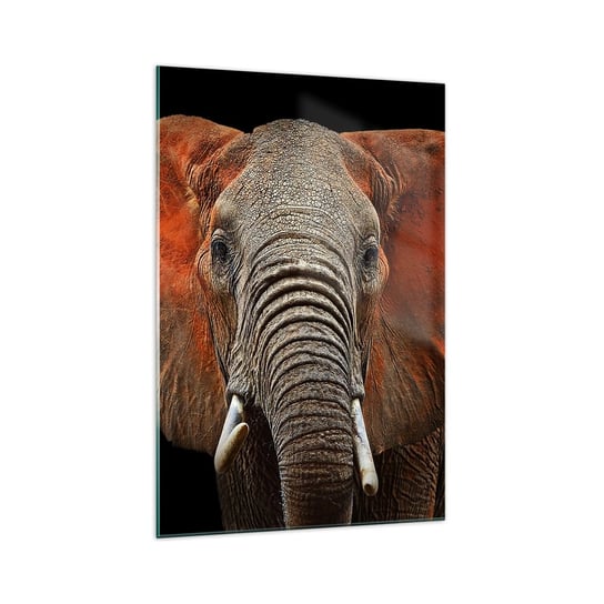 Obraz na szkle - Jestem dziki, a ty? - 70x100cm - Słoń Zwierzęta Afryka - Nowoczesny foto szklany obraz do salonu do sypialni ARTTOR ARTTOR