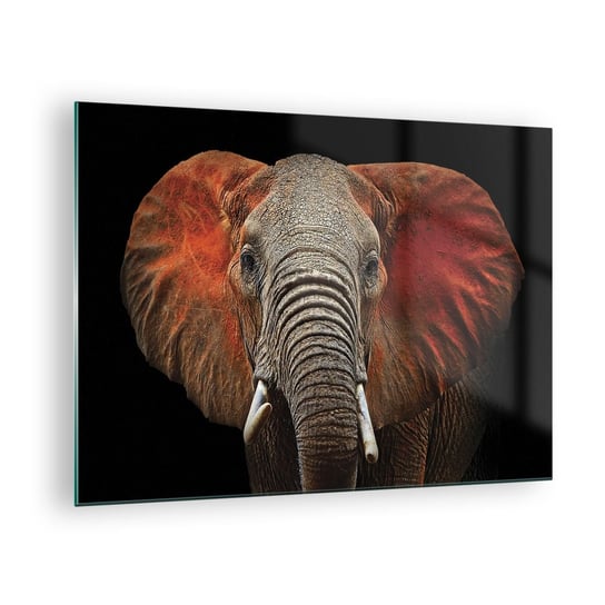 Obraz na szkle - Jestem dziki, a ty? - 70x50cm - Słoń Zwierzęta Afryka - Nowoczesny szklany obraz do salonu do sypialni ARTTOR ARTTOR