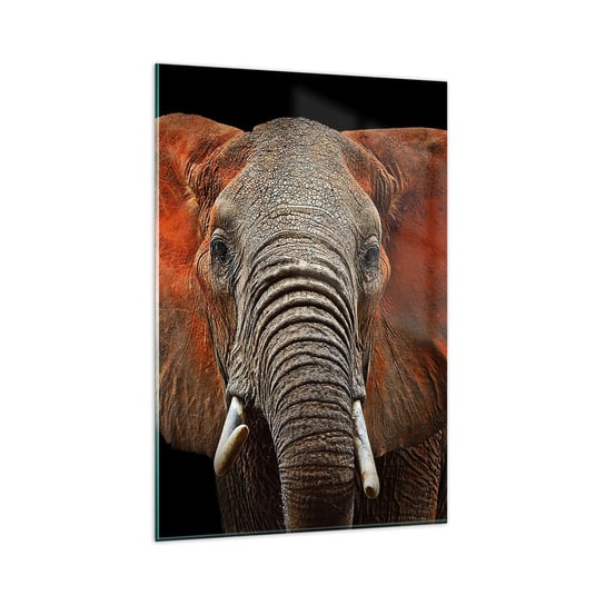 Obraz na szkle - Jestem dziki, a ty? - 80x120cm - Słoń Zwierzęta Afryka - Nowoczesny szklany obraz na ścianę do salonu do sypialni ARTTOR ARTTOR