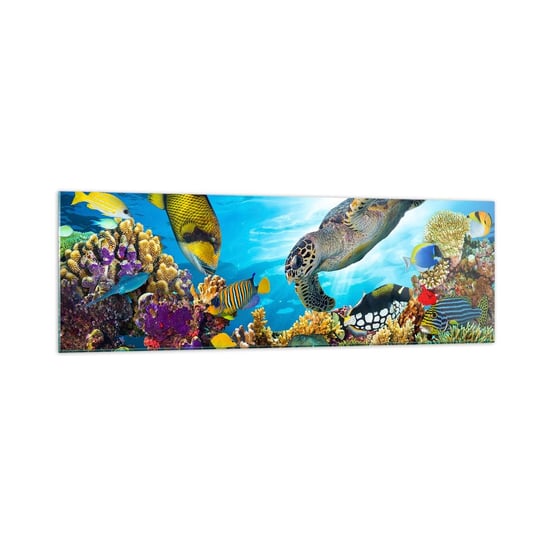 Obraz na szkle - Koralowa promenada - 160x50cm - Rafa Koralowa Morze Podwodny Świat - Nowoczesny foto szklany obraz do salonu do sypialni ARTTOR ARTTOR