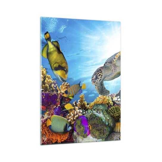 Obraz na szkle - Koralowa promenada - 50x70cm - Rafa Koralowa Morze Podwodny Świat - Nowoczesny szklany obraz do salonu do sypialni ARTTOR ARTTOR