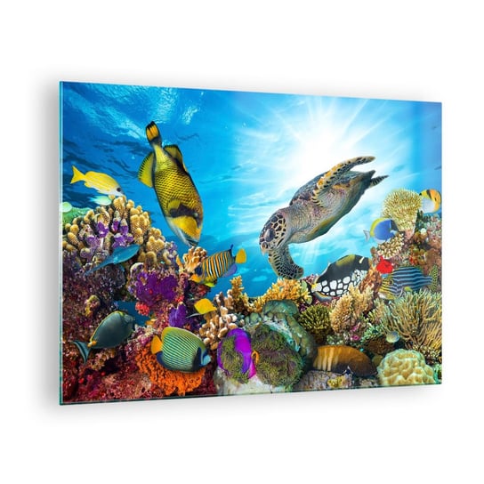 Obraz na szkle - Koralowa promenada - 70x50cm - Rafa Koralowa Morze Podwodny Świat - Nowoczesny szklany obraz do salonu do sypialni ARTTOR ARTTOR