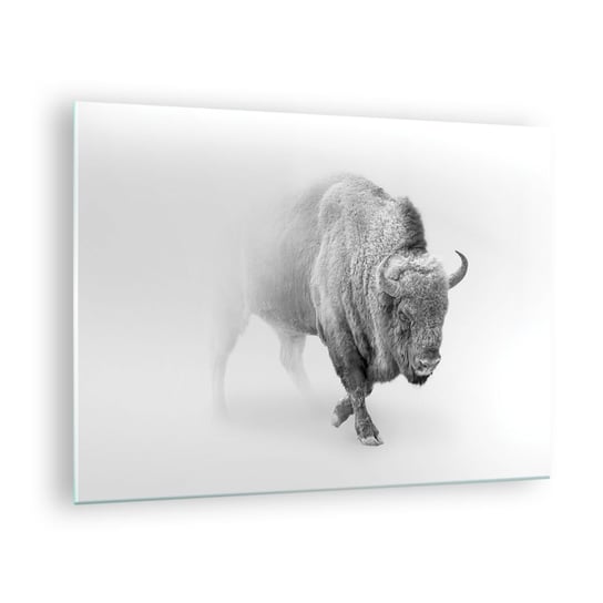 Obraz na szkle - Król prerii - 70x50cm - Żubr Zwierzęta Bizon - Nowoczesny szklany obraz do salonu do sypialni ARTTOR ARTTOR
