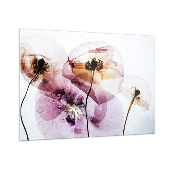 Obraz na szkle - Kwiatów ciała przezrocze - 100x70cm - Kwiaty Ogród Sztuka - Nowoczesny foto szklany obraz do salonu do sypialni ARTTOR ARTTOR