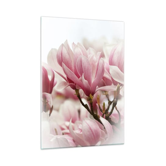 Obraz na szkle - Kwiaty wiosny - 50x70cm - Magnolia Kwiat Delikatny - Nowoczesny szklany obraz do salonu do sypialni ARTTOR ARTTOR