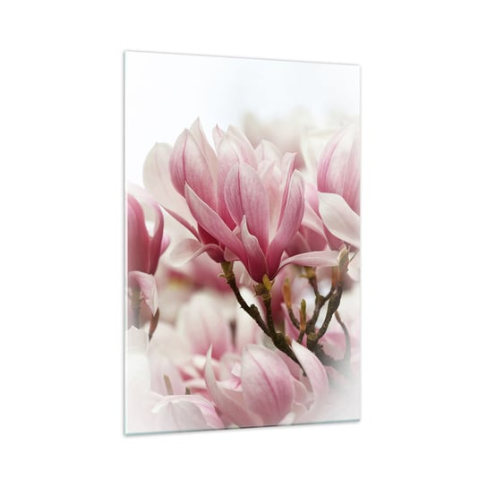 Obraz na szkle - Kwiaty wiosny - 70x100cm - Magnolia Kwiat Delikatny - Nowoczesny foto szklany obraz do salonu do sypialni ARTTOR ARTTOR