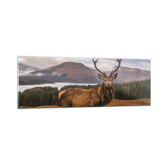 Obraz na szkle - Majestat natury - 90x30cm - Zwierzęta Jeleń Krajobraz - Nowoczesny szklany obraz do salonu do sypialni ARTTOR ARTTOR