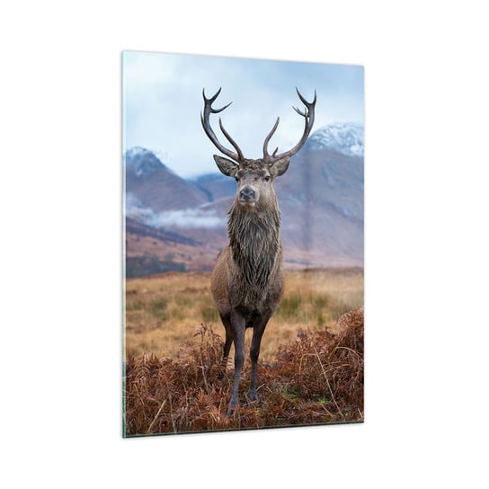 Obraz na szkle - Na własnej ziemi - 50x70cm - Jeleń Zwierzęta Szkocja - Nowoczesny szklany obraz do salonu do sypialni ARTTOR ARTTOR