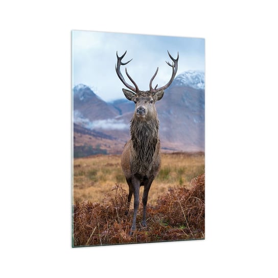 Obraz na szkle - Na własnej ziemi - 70x100cm - Jeleń Zwierzęta Szkocja - Nowoczesny foto szklany obraz do salonu do sypialni ARTTOR ARTTOR
