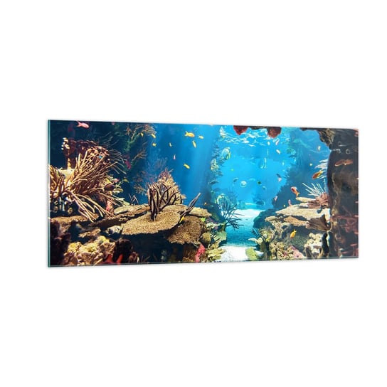 Obraz na szkle - Nawet ci się nie śniło - 100x40cm - Rafa Koralowa Podwodny Świat Ryby - Nowoczesny foto szklany obraz do salonu do sypialni ARTTOR ARTTOR
