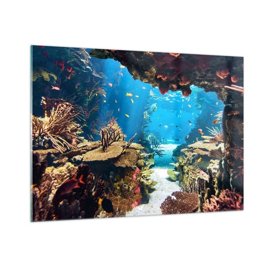 Obraz na szkle - Nawet ci się nie śniło - 100x70cm - Rafa Koralowa Podwodny Świat Ryby - Nowoczesny foto szklany obraz do salonu do sypialni ARTTOR ARTTOR