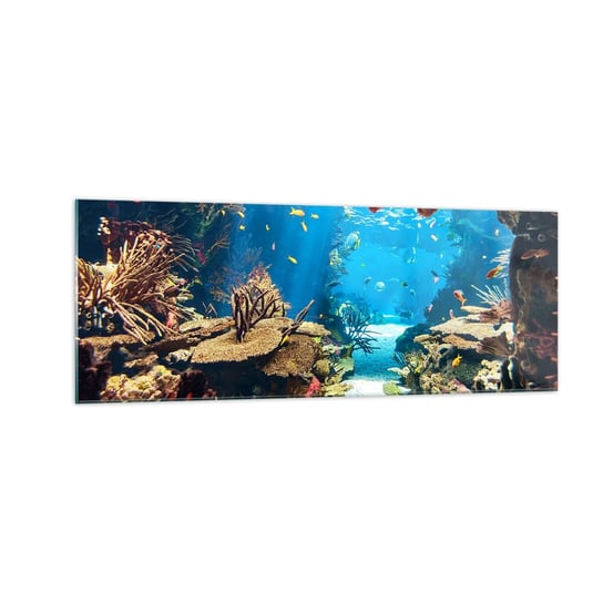 Obraz na szkle - Nawet ci się nie śniło - 140x50cm - Rafa Koralowa Podwodny Świat Ryby - Nowoczesny szklany obraz do salonu do sypialni ARTTOR ARTTOR