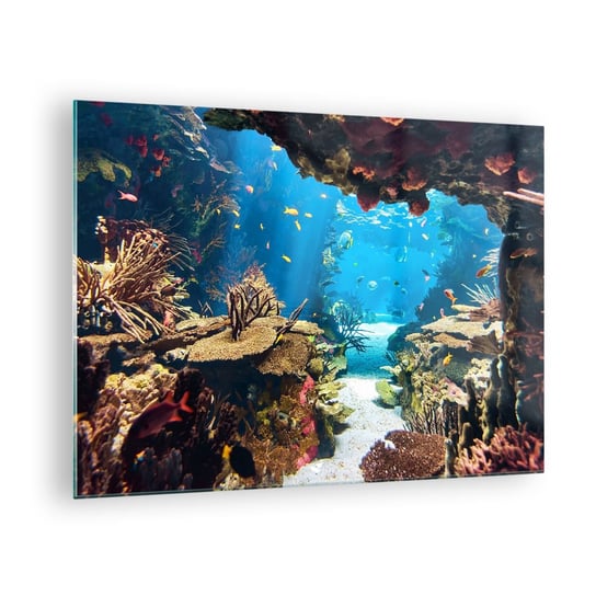 Obraz na szkle - Nawet ci się nie śniło - 70x50cm - Rafa Koralowa Podwodny Świat Ryby - Nowoczesny szklany obraz do salonu do sypialni ARTTOR ARTTOR