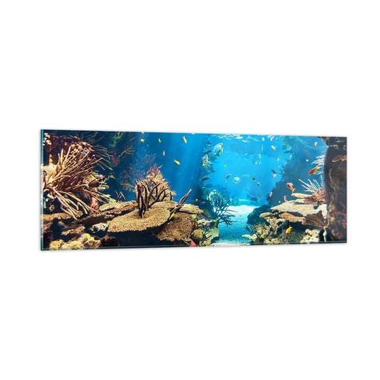 Obraz na szkle - Nawet ci się nie śniło - 90x30cm - Rafa Koralowa Podwodny Świat Ryby - Nowoczesny szklany obraz do salonu do sypialni ARTTOR ARTTOR