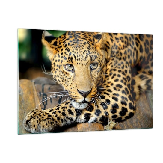Obraz na szkle - Nie bój się, podejdź - 120x80cm - Zwierzęta Pantera Dziki Kot - Nowoczesny szklany obraz na ścianę do salonu do sypialni ARTTOR ARTTOR