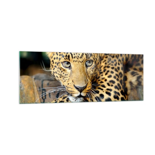Obraz na szkle - Nie bój się, podejdź - 140x50cm - Zwierzęta Pantera Dziki Kot - Nowoczesny szklany obraz do salonu do sypialni ARTTOR ARTTOR