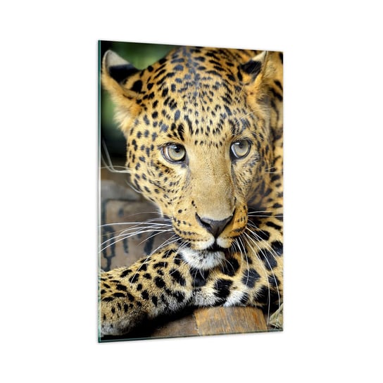 Obraz na szkle - Nie bój się, podejdź - 80x120cm - Zwierzęta Pantera Dziki Kot - Nowoczesny szklany obraz na ścianę do salonu do sypialni ARTTOR ARTTOR