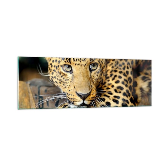 Obraz na szkle - Nie bój się, podejdź - 90x30cm - Zwierzęta Pantera Dziki Kot - Nowoczesny szklany obraz do salonu do sypialni ARTTOR ARTTOR