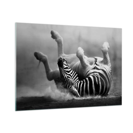 Obraz na szkle - Nie tylko koń by się uśmiał - 100x70cm - Zwierzęta Zebra Natura - Nowoczesny foto szklany obraz do salonu do sypialni ARTTOR ARTTOR