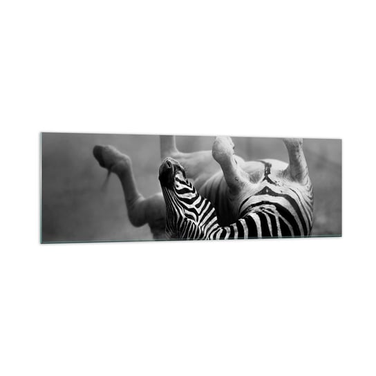 Obraz na szkle - Nie tylko koń by się uśmiał - 160x50cm - Zwierzęta Zebra Natura - Nowoczesny foto szklany obraz do salonu do sypialni ARTTOR ARTTOR