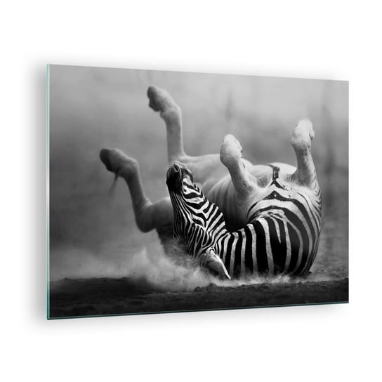 Obraz na szkle - Nie tylko koń by się uśmiał - 70x50cm - Zwierzęta Zebra Natura - Nowoczesny szklany obraz do salonu do sypialni ARTTOR ARTTOR