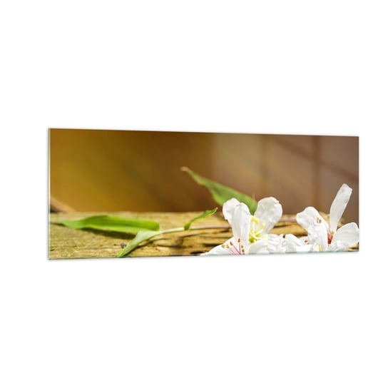 Obraz na szkle - Niewinna obietnica - 140x50cm - Kwiaty Bambus Spa - Nowoczesny szklany obraz do salonu do sypialni ARTTOR ARTTOR