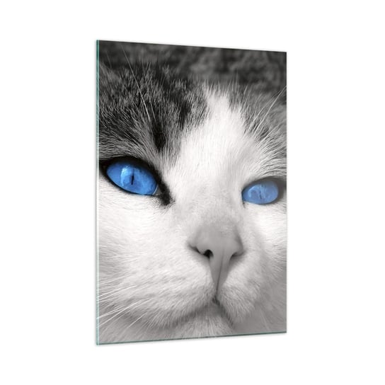 Obraz na szkle - Niezwykły niebieskooki - 50x70cm - Zwierzęta Kot Niebieskie Oczy - Nowoczesny szklany obraz do salonu do sypialni ARTTOR ARTTOR