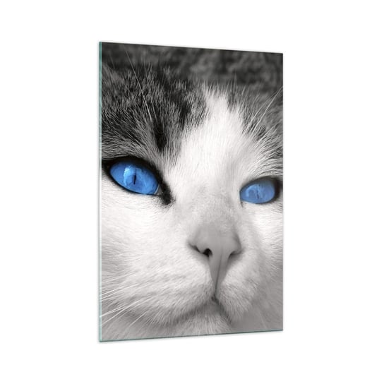 Obraz na szkle - Niezwykły niebieskooki - 70x100cm - Zwierzęta Kot Niebieskie Oczy - Nowoczesny foto szklany obraz do salonu do sypialni ARTTOR ARTTOR