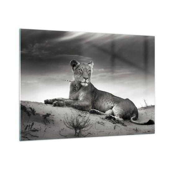 Obraz na szkle - Odpoczynek królowej pustyni - 100x70cm - Zwierzęta Lew Pustynia - Nowoczesny foto szklany obraz do salonu do sypialni ARTTOR ARTTOR
