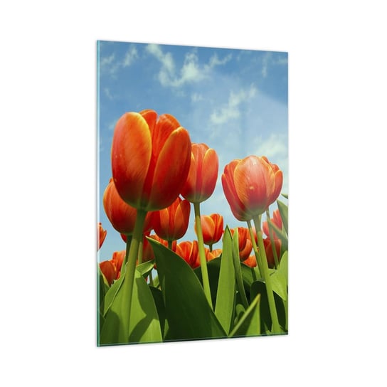 Obraz na szkle - Oprócz błękitnego nieba nic im w życiu nie potrzeba - 50x70cm - Kwiaty Tulipany Natura - Nowoczesny szklany obraz do salonu do sypialni ARTTOR ARTTOR