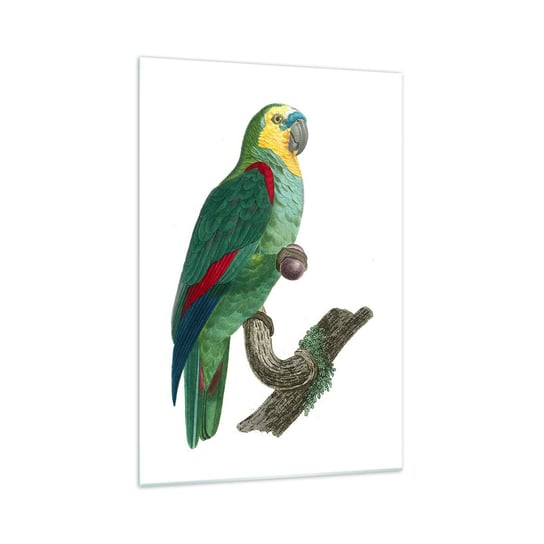 Obraz na szkle - Papuzi portret - 70x100cm - Papuga Ptak Vintage - Nowoczesny foto szklany obraz do salonu do sypialni ARTTOR ARTTOR