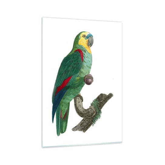 Obraz na szkle - Papuzi portret - 80x120cm - Papuga Ptak Vintage - Nowoczesny szklany obraz na ścianę do salonu do sypialni ARTTOR ARTTOR