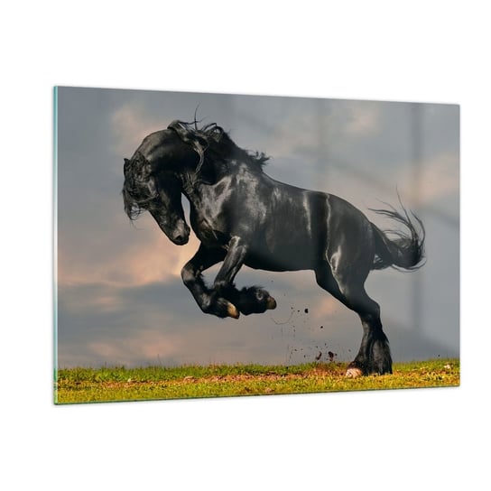 Obraz na szkle - Piękny i wolny - 120x80cm - Zwierzęta Koń Krajobraz - Nowoczesny szklany obraz na ścianę do salonu do sypialni ARTTOR ARTTOR