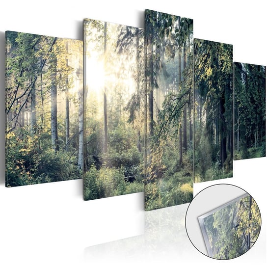 Obraz na szkle plexi: Baśniowy las, 5 elementów, 100x50 cm zakup.se