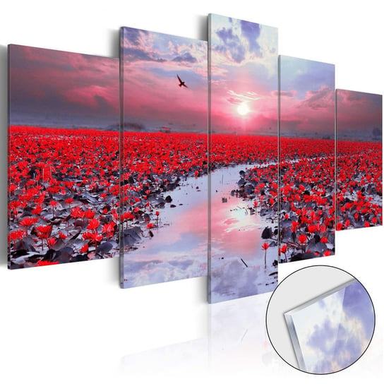 Obraz na szkle plexi: Czerwona łąka magii, 5 elementów, 100x50 cm zakup.se
