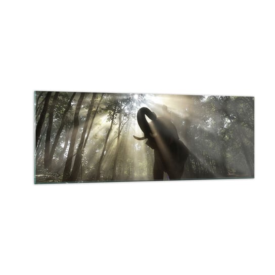 Obraz na szkle - Pod szczęśliwą gwiazdą - 140x50cm - Krajobraz Słoń Dżungla - Nowoczesny szklany obraz do salonu do sypialni ARTTOR ARTTOR