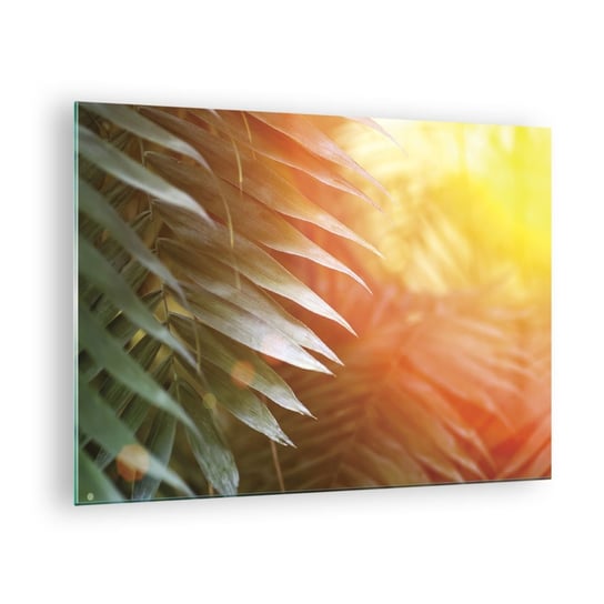 Obraz na szkle - Poranek w dżungli - 70x50cm - Palma Kokosowa Liście Palmy Dżungla - Nowoczesny szklany obraz do salonu do sypialni ARTTOR ARTTOR
