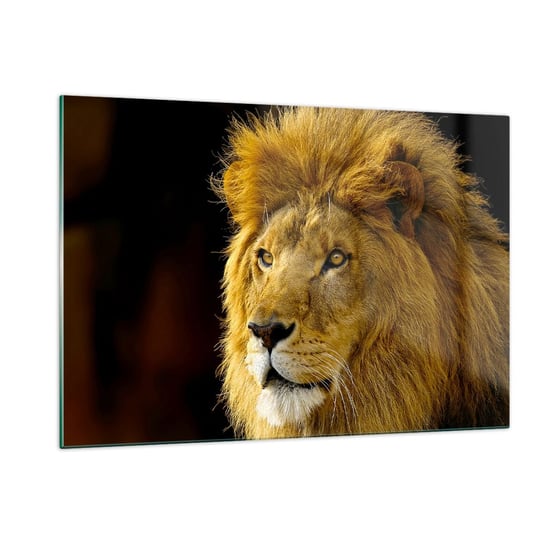 Obraz na szkle - Portret króla - 120x80cm - Zwierzęta  Lew Natura - Nowoczesny szklany obraz na ścianę do salonu do sypialni ARTTOR ARTTOR