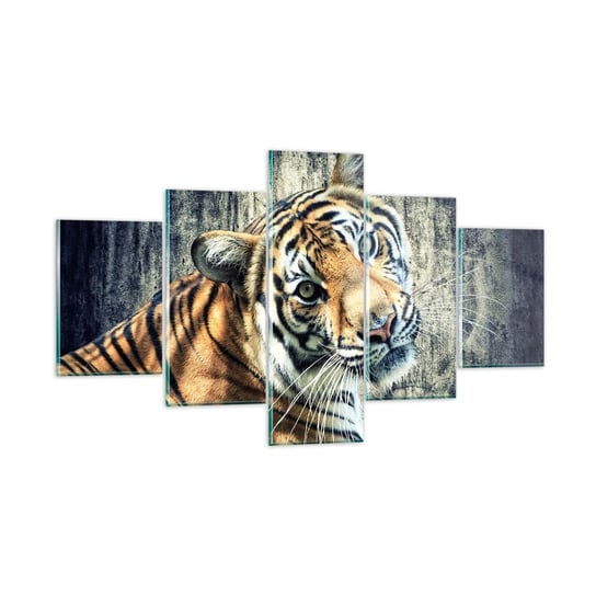 Obraz na szkle - Portret w strugach światła - 125x70 cm - Obraz nowoczesny - Zwierzęta, Tygrys, Afryka, Dzikie Zwierzę, Indie - GEA125x70-2464 ARTTOR