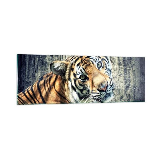 Obraz na szkle - Portret w strugach światła - 90x30cm - Zwierzęta Tygrys Afryka - Nowoczesny szklany obraz do salonu do sypialni ARTTOR ARTTOR